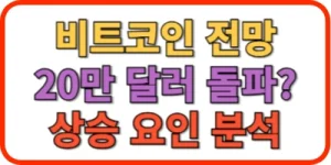 비트코인 전망