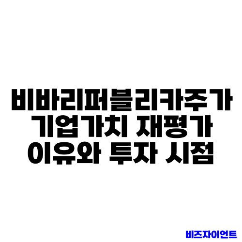 비바리퍼블리카주가 기업가치 재평가 이유와 투자 시점