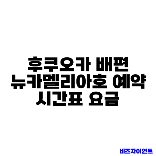 후쿠오카 배편 뉴카멜리아호 예약 시간표 요금